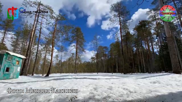 В Карелии завершился сезон съёмок за брачным поведением птиц в период весеннего токования смотреть онлайн