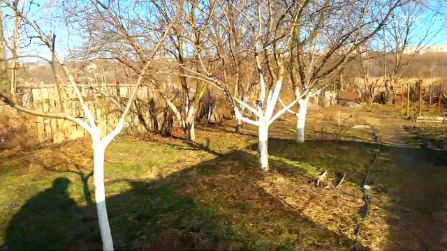 Славянск. 29 февраля 2024г. Утро. смотреть онлайн