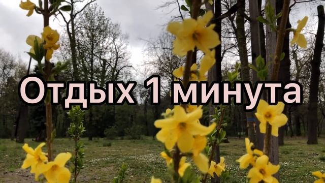 Упражнения для новичков. Упражнения для рук, спины и груди.
