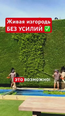 ЖИВАЯ ИЗГОРОДЬ для ленивых. Сад, как на обложке