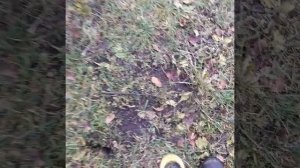 Прицеп для квадроцикла,  установка оси .
