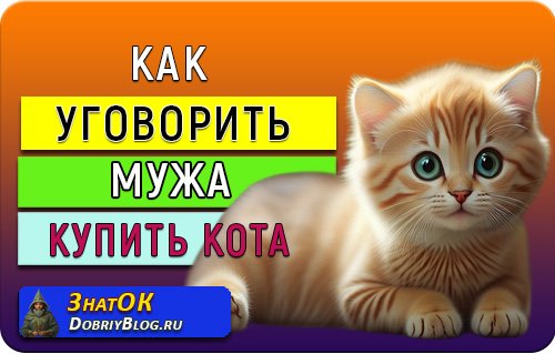 Как уговорить мужа купить кота