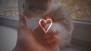 Теперь у нас с тобой всё будет хорошо..