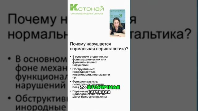 Почему происходит нарушение перистальтики | Причины и лечение атонии