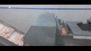 Волчок Модель: JR-250 Производительность: 3-3,5т замороженное мясо 10-12С (Китай) 4