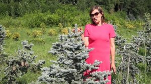 Плантариум.