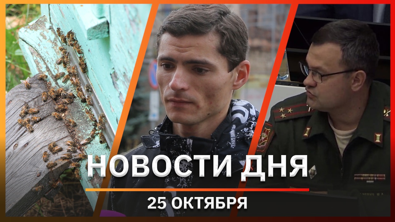 Новости Уфы и Башкирии 25.10.22: массовая мор пчел,уничтожение панно, объяснительная для резервистов