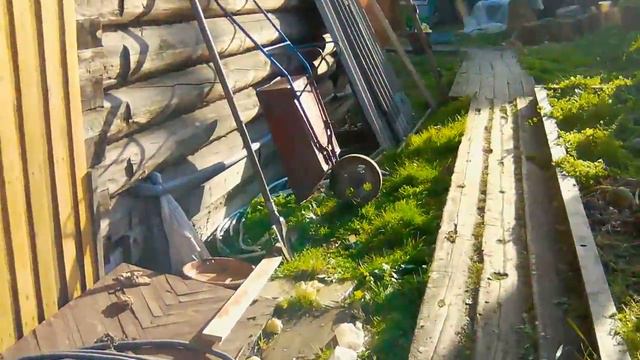 Загадочный мир котят (?) #2 смотреть онлайн