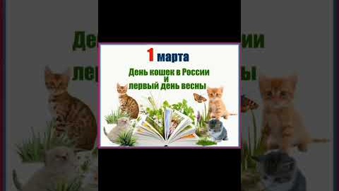 С прошедшем началом весны и день кошек ?? #первыйденьвесны #кошки #праздник #рекзаюш