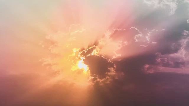 Пение птиц l Красивая мелодия l Музыка для сна l Релакс l Музыка для медитации смотреть онлайн