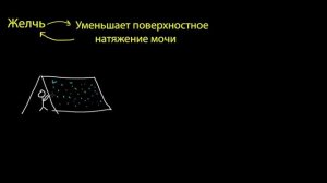 Поверхностное натяжение и адгезия (видео 17) | Жидкости  | Физика