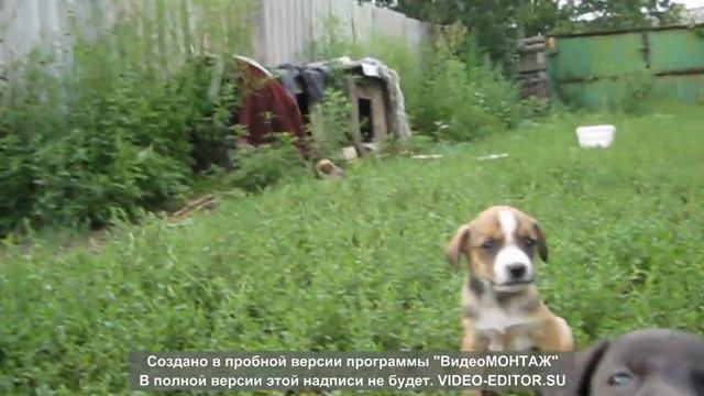 Славянск 2022 / МИНУС ОДИН ! / Славянск сегодня 2022 / Славянск сейчас