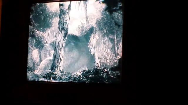 King kong vs Trex 1933 смотреть онлайн