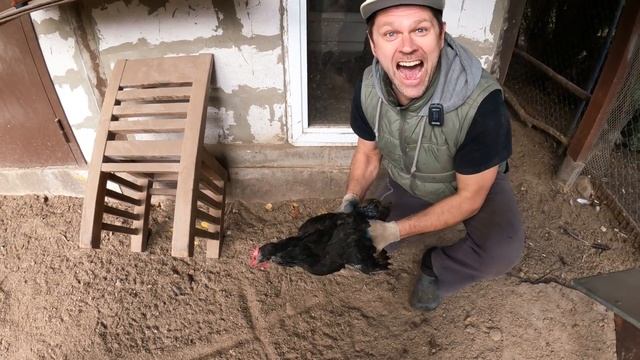 Курятник на даче / Волшебство куриного гипноза смотреть онлайн