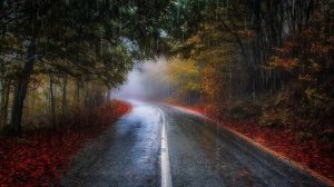 Успокоение музыка для лечения СТРЕССА!