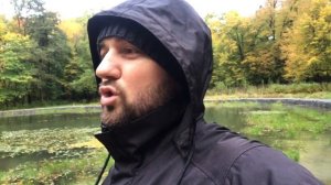 Как правильно кормить  Американскую Акиту