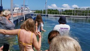 Куба , дельфинарий.