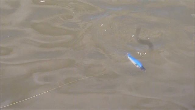 Джеркбейт Bubuka Tango 155 смотреть онлайн