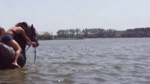 Купание Черного коня )))