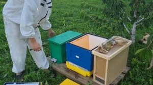 ОТВОДОК В АВГУСТЕ ?✌? СДЕЛАТЬ ОТВОДОК В АВГУСТЕ НЕ ПОЗДНО