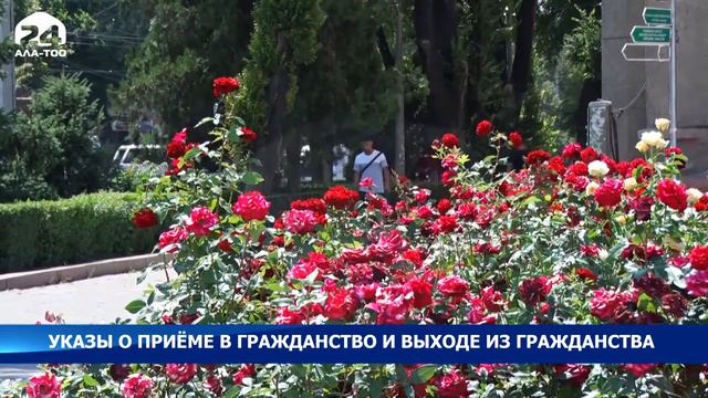 Подписаны указы о приеме в гражданство и выходе из гражданства Кыргызской Республики