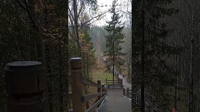 Большая лестница в Малых карелах #архангельск #путешествия смотреть онлайн