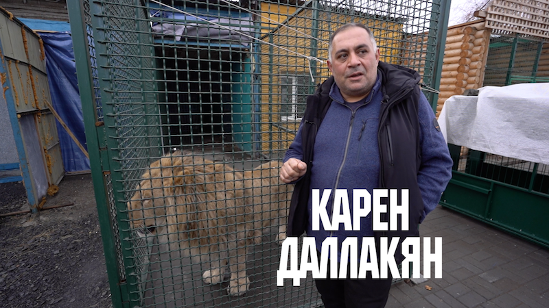 Дикие животные - Карен Даллакян и фонд зоозащиты "Спаси меня" // Дикие: Стратегия спасения