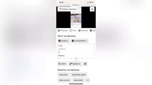 Поиск по картинке на телефоне IPhone в Safari