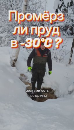 Промерзает ли пруд у болота в -30°С