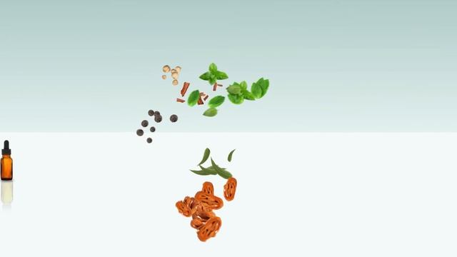 Zero Degree : Aromatic Herbal Inhaler - indiegogo смотреть онлайн