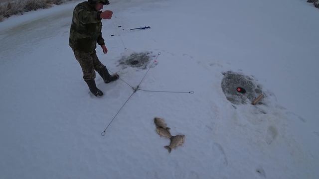 Рыбалка 2021 Нашли тонны рыбы подо льдом Караси не лезут в лунку Хапуга для рыбалки Вот она удача! смотреть онлайн