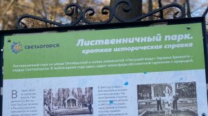 Russia, Svetlogorsk, Hoffmann, 2022/ Россия, Светлогорск, Гофман, 2022