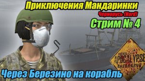 DayZ Apocalypse.Стрим №4. Через Березино на Корабль. Приключения Мандаринки.  #bulldezeer