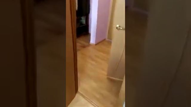 Сдаём квартиру в Щербинке,Ул спортивная 23 смотреть онлайн