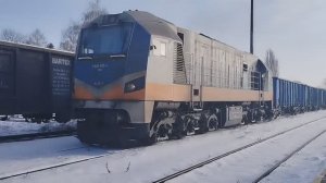 Тепловоз NEWAG 311D Гливице с грузовым поездом