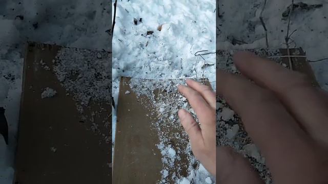 Ловлю фазана на петлю смотреть онлайн