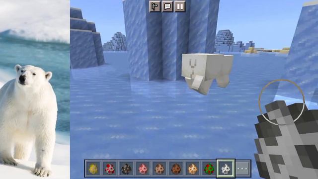 реальные животные и из Майнкрафта