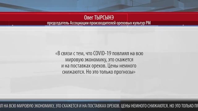 В МОЛДОВЕ МОГУТ ПОДЕШЕВЕТЬ ГРЕЦКИЕ ОРЕХИ смотреть онлайн