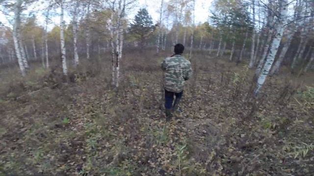 Охота на лося лайкой смотреть онлайн