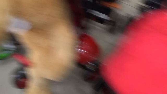 VLOG. Везём кастрюли, покупаем велосипед Ване, едим мороженое. Магнит, покупки. смотреть онлайн