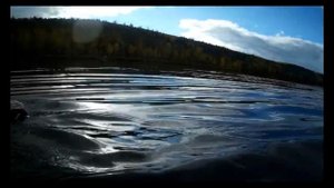 Как достать утку из воды, без лодки и собаки