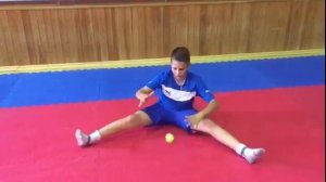 ✅Тренировка Хоккейного Вратаря .(Сел-Встал+Контроль Мяча).