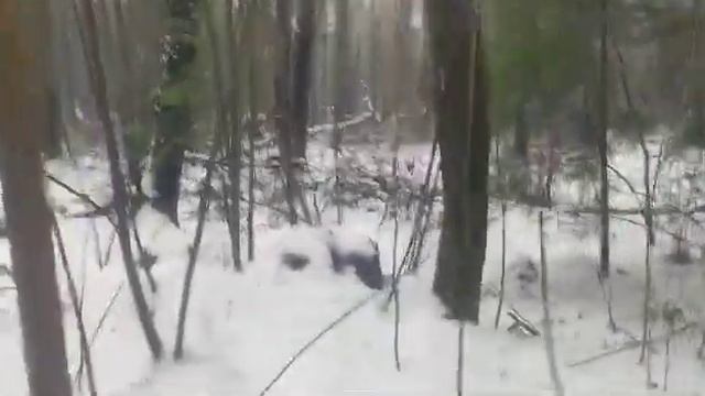 проверка капканов первое видео24 декабря 2022 г. смотреть онлайн