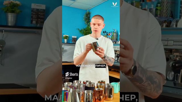 Какой выбрать питчер ?!  short #shorts #barista #pitcher