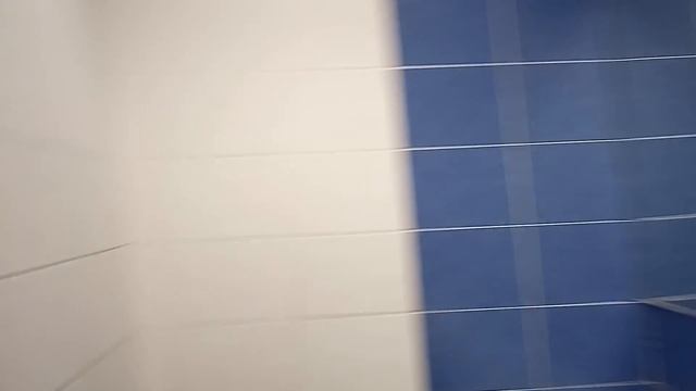 Лягушка путешественница. влог. № 226 смотреть онлайн