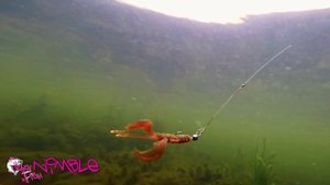 Новинки 2016!!! Приманки под водой. Crazy Fish.  Nimble.  Underwater.