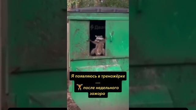 в зал после праздников