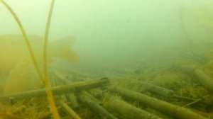 Рыбалка на Балхаше в марте