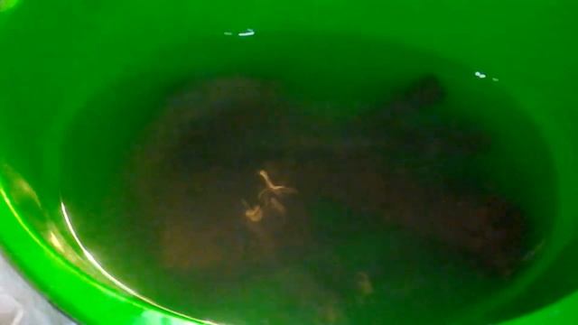 Щавелевая кислота восстановление находок смотреть онлайн