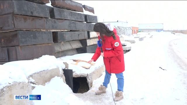 В поселке под Омском озверели бездомные собаки смотреть онлайн